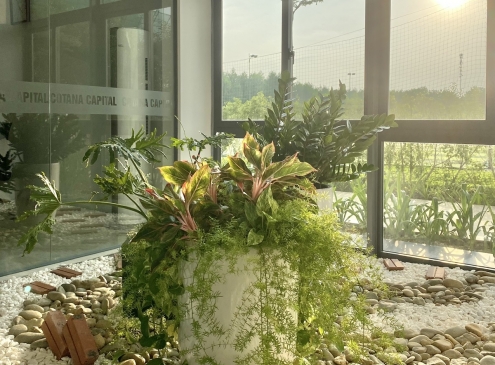 Nắng lên rồi! Ecogarden